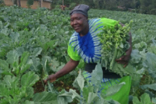 Mary Alwanyi