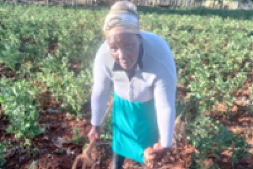 Miriam Wanjiru